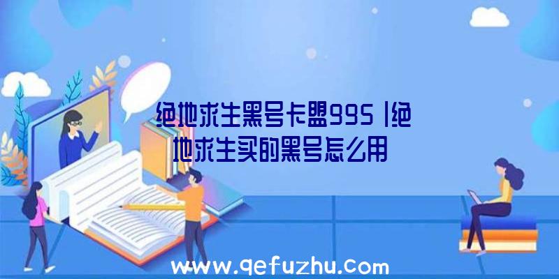 「绝地求生黑号卡盟995」|绝地求生买的黑号怎么用